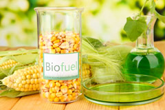 Ragmere biofuel availability